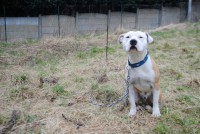 /album/passion-animos/a022-jpg/