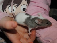 /album/passion-animos/a084-jpg/