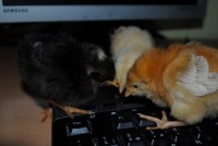 Spik, Spok & Spuk <3